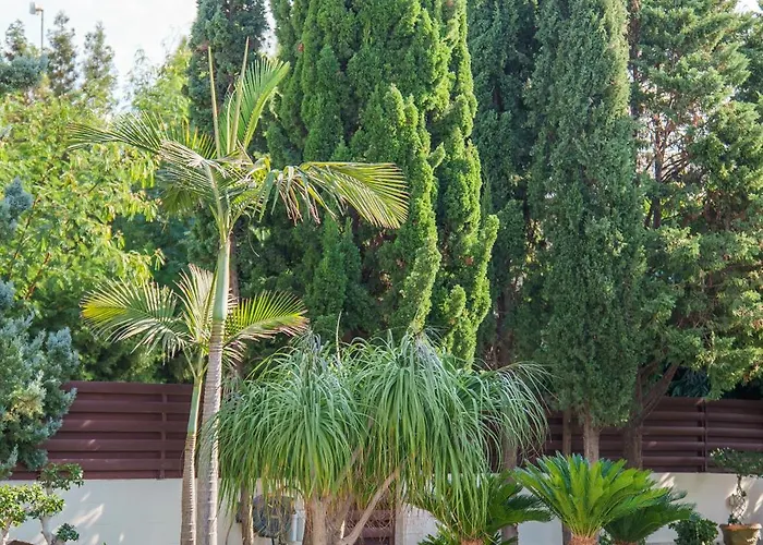 Villa The Nissi Duo Collection Ayia Napa